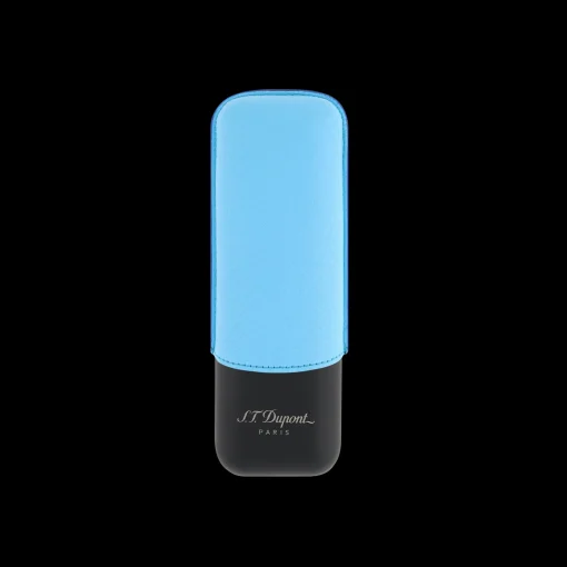 2 cigar case