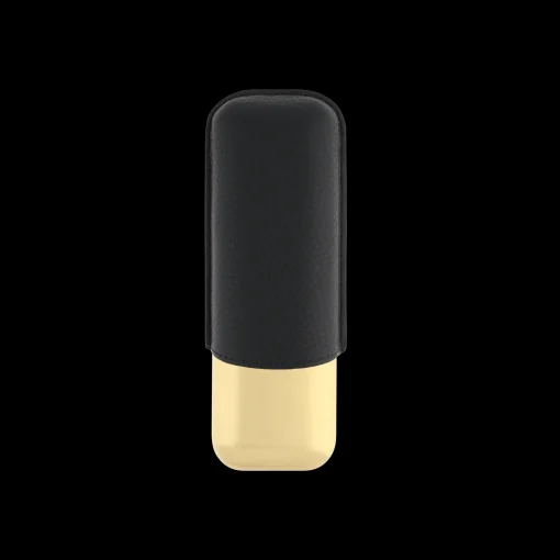 2 cigar case