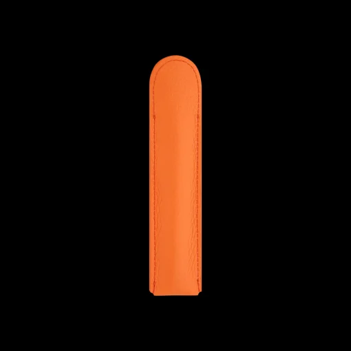 Pen case