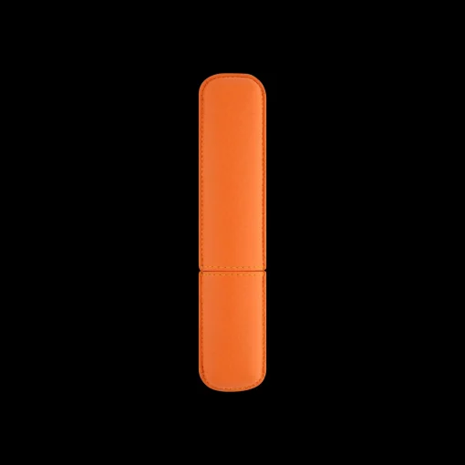 Pen case